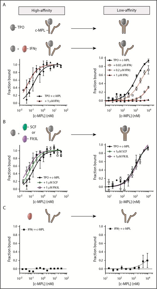Figure 3. IFN-γ disrupts the low-affinity binding interaction between TPO and c-MPL. (A) Evaluation of the TPO:c-MPL binding affinity by MST in the presence (red) or absence (black) of IFN-γ. Without IFN-γ, the TPO:c-MPL interaction was characterized by a high-affinity (left panel) and a low-affinity (right panel) binding site. Addition of IFN-γ resulted in specific disruption of the low-affinity site in a dose-dependent manner. (B) Evaluation of the TPO:c-MPL binding affinity by MST in the presence of 100-fold molar excess concentration of hematopoietic cytokines (SCF and Flt3L). The TPO:c-MPL interaction was unaffected by SCF or Flt3L. (C) Evaluation of the binding affinity between IFN-γ and c-MPL by MST. IFN-γ did not interact with c-MPL. Data are mean ± SEM; curve fit by nonlinear regression. The KD for each condition is listed in Table 1.