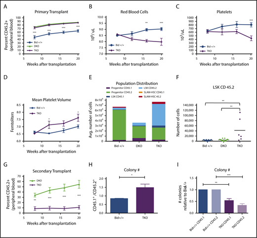 Figure 5. TKO bone marrow can reconstitute and outcompete Bid +/+ bone marrow but is unable to maintain long-term hematopoiesis. (A) Percentage of CD45.2+ cells in Bid+/+, DKO, and TKO transplant mice at 8, 12, 16, and 20 weeks after transplantation. Mice were transplanted with experimental and control bone marrow at a 1:1 ratio. Bid+/+, n = 7; DKO, n = 7; and TKO, n = 6. Statistics demonstrate differences between Bid+/+ and TKO animals. (B-D) RBCs (106/µL; B), platelet counts (103/µl; C), and mean platelet volume (fL; D) in transplanted Bid+/+ and TKO mice at 8, 12, 16, and 20 weeks after transplantation. Bid+/+, n = 5; TKO, n = 8. Statistics demonstrate differences between Bid+/+ and TKO animals. (E) Distribution of myeloid progenitor, LSK, and SLAM-HSC populations in Bid+/+, DKO, and TKO transplanted mice. Bid+/+, n = 5; DKO, n = 7; and TKO, n = 6. (F) CD45.2+ LSK cells in transplanted mice. (G) Secondary transplantation of DKO and TKO bone marrow (primary transplant in a 1:1 ratio with Bid+/+) to rigorously test hematopoietic stem cell function. DKO, n = 8; and TKO, n = 7. (H) Ratio of the colony-forming ability of CD45.1+ to CD45.2+ cells isolated from primary transplants. Bid+/+ or TKO CD45.2+ cells are transplanted in a 1:1 ratio with congenic CD45.1+ Bid+/+ cells. CD45.1+ and CD45.2+ bone marrow cells were sorted and cultured in methylcellulose in the presence of IL3, IL6, SCF, EPO. Colonies were counted at 10 days. The data are from 3 independent experiments. (I) Number of colonies for indicated bone marrow cells relative to Bid+/+ colonies. Bid+/+ CD45.1 denotes WT CD45.1 cells transplanted with Bid+/+ CD45.2 cells. TKO CD45.1 denotes WT CD45.1 cells transplanted with TKO CD45.2 cells. ns, not significant; *P < .05 **P < .01, ***P < .001, and ****P < .0001. Data represent mean ± SEM.