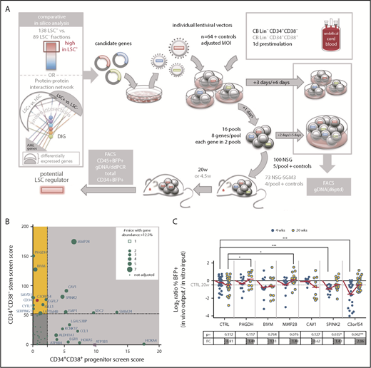 Figure 1. In vivo competitive gain-of-function screen selects for genes promoting repopulation latency. (A) Screen outline: From 64 candidate genes obtained by comparative in silico analysis, lentiviral vectors were produced individually and used at matching multiplicity of infection (MOI) to transduce CB lineage negative (Lin−) CD34+CD38− cells for a stem screen and CB Lin−CD34+CD38+ for a progenitor screen. The next day, 16 pools were assembled, each from 8 individually transduced cell populations, and transplanted intrafemoral into 5 NSG or 4 NSG-SGM3 mice per pool, respectively. Aliquots of individual and pooled samples were in vitro cultured for an additional 5 days for flow cytometric (BFP/gene marking) analysis and genomic DNA isolation for pool composition analysis at input. BM of mice was harvested at 20 or 4.5 weeks for flow cytometric and genomic DNA analysis, and engraftment and candidate gene contribution was scored. (B) For each candidate gene, a score was calculated in both screens by multiplying the output/input ratio for %BFP+ and percent vector copies (barcode abundance) per mouse, and adding a competition score in increments if the gene’s contribution to a pool was more than 1/8 (supplemental Figure 9A).The final score was obtained by accumulation of these individual scores/mouse for all mice analyzed carrying that candidate gene, and used to create a matrix of scores in both screens. Genes scoring in the stem screen only are highlighted in yellow. The score obtained for C3orf54 is highlighted in red. (C) The progeny of 10 000 CB Lin−CD34+CD38− cells transduced with the indicated overexpression vectors were transplanted into NSG mice 1 day after transduction. Input was assessed as mean of transduction efficiency at day 3 and day 6 posttransduction (ptd). Mice were analyzed for human (CD45+) chimerism (injected femur) and %BFP+ within the CD45+ cell fraction after 4 and 20 weeks. Shown are log2 ratios (%BFP+ of CD45+ in vivo output/%BFP+ in vitro input) of 2 to 5 independent experiments, adding up to 9 to 33 mice per time point and candidate. The table below indicates the P values (Student t test) and FC for the comparison of 4- and 20-week ratios per gene. *P < .05; **P < .01; ***P < .001. DIG, densely interconnected genes.