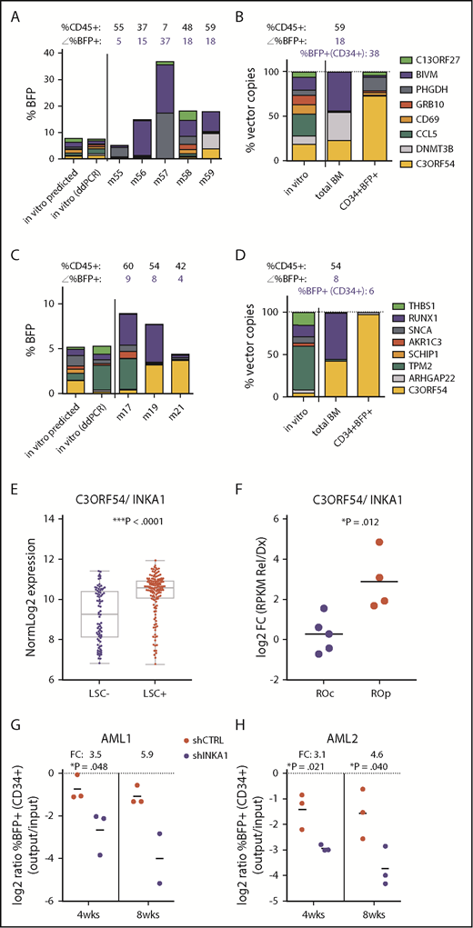 Figure 2. Stemness screen and AML data sets implicate C3orf54/INKA1 as LSC regulator. (A-B) Both plots represent the same pool from the stem screen, as indicated by the legend on the right. (A) From individual vector cultures predicted (inferred from %BFP+) and actual pool composition (ddPCR, day 6 in vitro) is shown according to total %BFP+ next to pool composition analysis from total BM per individual mouse (m). The corresponding percentage CD45+ and BFP+ is indicated above each bar (mouse). (B) Pool composition in CD34+BFP+ cells sorted from BM of m59 is shown in comparison with in vitro input and total BM pool composition as percent vector copies. (C-D) Same as panels A-B for the second pool containing the C3orf54 expressing vector. (D) BM CD34+BFP+ sorted fraction of m19 was subjected to ddPCR analysis. (E) C3orf54/INKA1 expression in 89 LSC− and 138 LSC+ fractions from 78 patients with AML (GSE30377, microArray, Mann-Whitney U test).3 (F) C3orf54/INKA1 expression (RNAseq), in paired diagnosis-relapse samples that are split into relapse origin committed-like (ROc) and primitive-like (ROp), as determined functionally or by clusters from perturbation deconvolution analysis, using gene expression data from normal hematopoietic cell subsets.9 Shown are the log2 ratios of expression levels at relapse vs diagnosis of each individual sample (Student t test). (G-H) CD34+ sorted cells from 2 primary AML samples (AML1, AML2) were transduced with shCTRL or INKA1-KD vectors (pooled shINKA1-1 and shINKA-2; supplemental Figure 14) and intrafemorally injected into NSG at a cell dose of 2.4 × 105 and 4.4 × 105/mouse, respectively. After 4 and 8 weeks, injected femurs were flushed and BM cells were analyzed for CD34 and BFP expression. The relative decline of percentage BFP+ cells within the CD34+ population (output) is plotted as the relative log2 ratio to %BFP+ at input (4 days posttransduction; supplemental Figure 14) with the FC of the means for shINKA1 vs shCTRL indicated above each point.