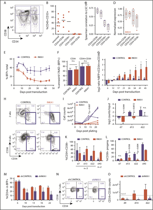 Figure 3. INKA1-OE in 8227 AML LSC model recapitulates relative enrichment of primitive cells while INKA1-KD reduces them. (A) Representative CD34/CD38 FACS plot of the phenotypic 8227 AML hierarchy. (B) Engraftment data of injected femurs at 12 weeks (human CD45+CD33+) of 8227 AML cells that had been sorted into 4 fractions according to CD34 and CD38 expression and transplanted into nonobese diabetic-severe combined immunodeficiency-SGM3 mice and analyzed after 12 weeks. Unsorted: 1.5 × 106; CD34+ fractions: 0.3 × 106, CD34− fractions: 0.5 × 106 cells/mouse. (C) Spearman’s correlation ρ values generated from gene expression data (NanoString, n = 4) from the four 8227 AML fractions of 104 genes that are differentially regulated in LSC+ vs LSC− with their expression in the LSC104 data set. (D) INKA1 expression across 8227 AML hierarchy, according to NanoString analysis (n = 4). (E) CD34+CD38− 8227 AML cells were transduced with CTRL and INKA1-OE vectors, and %BFP+ was assessed over the course of 43 days (n = 3). (F) Cell viability of BFP+ CD34− and CD34+CD38− was analyzed according to AnnexinV− and 7AAD− staining. (G) Relative gene-marking (BFP+) in CD34+ and CD34− fractions was assessed over time (n = 3). (H) Sorted CD34+CD38−BFP+ cells were cultured to assess the capability to regrow the hierarchy. Shown are representative FACS plots at 2 weeks (n = 3) and 6 weeks (n = 2) after sorting. Absolute (I) and relative (J) cell counts are shown over 3 weeks of follow-up and CD34+CD38− maintenance (K), and differentiation to CD38+ (L) cells was monitored over the course of 6 weeks. (M) Long-term in vitro follow-up of %CD34+ cells within BFP+ population upon INKA1-KD (shINKA1) vs control (shCTRL, n = 4). (N) Sorted CD34+CD38−BFP+ cells (shCTRL, shINKA1) were cultured to assess the capability to regrow the hierarchy. Shown are representative FACS plots at 2 weeks (n = 3) after sorting and absolute cell counts of CD34+CD38− cells are shown over the course of 3 weeks follow-up in panel O. Student t test *P < .05; **P < .01; ***P < .001; n.s., nonsignificant.