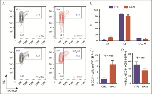 Figure 4. INKA1-OE induces quiescence in primitive 8227 AML cells. (A) Shown are sorted 8227 AML BFP+CD34+CD38− (+/−) and BFP+CD34+CD38+BFP+(+/+) that were stained for intracellular Ki67 expression and DNA content (Hoechst) staining. (B) Cell cycle distribution of transduced CD34+CD38−BFP+ cells (n = 3). (C) Transduced 8227 AML cells were labeled with CellTrace Far Red and analyzed 5 days later by flow cytometry (n = 3). (D) Transduced cells were incubated with BrdU and harvested after 20 hours for intracellular detection of BrdU incorporation (n = 3). Student t test *P < .05; **P < .01; ***P < .001.