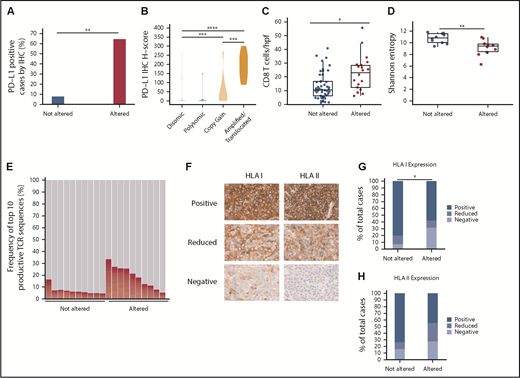 Figure 2. PD-L1 gene alterations are associated with increased PD-L1 protein expression, enhanced CD8+ T-cell infiltration, and decreased HLA class I expression in DLBCL. (A) Percentage of PD-L1–positive (H-score ≥30) DLBCLs according to PD-L1 locus status (**P < .01, Fisher’s exact test) (B) Violin plot demonstrating PD-L1 H-scores for DLBCLs with the indicated PD-L1 locus status (***P < .001 and ****P < .0001, Mann-Whitney U test). (C) Numbers of CD8+ T cells/hpf in DLBCLs with vs without PD-L1 gene alterations (*P < .05, Mann-Whitney U test). (D) TCR-β repertoire diversity among DLBCLs with and without PD-L1 alterations as measured by Shannon entropy (**P < .01, Mann-Whitney U test). (E) Overall contribution to the TCR repertoire by the top 10 TCR-β sequences in PD-L1 altered vs unaltered DLBCLs (P < .01, Mann-Whitney U test). (F) Representative IHC staining for HLA class I and II expression in DLBCL (40× magnification). Note in the HLA class I negative case the positive HLA I staining on infiltrating immune cells serving as an internal positive control. (G-H) Quantitative data showing percentage of DLBCLs with decreased/absent HLA class I (*P < .05, Fisher’s exact test) and II (P = .063) expression according to PD-L1 locus status.