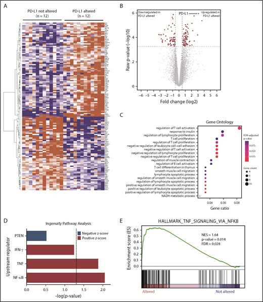 Figure 3. RNA-seq identifies DEGs in PD-L1–altered relative to PD-L1–unaltered DLBCL. Heatmap (A) and volcano plot (B) depicting 137 DEGs in DLBCLs with vs without PD-L1 gene alterations (false discovery rate-adjusted P < .05, fold change ≥1.5 or ≤−1.5). (C) GO analysis performed on the 137 DEGs. GO terms significantly enriched in DLBCLs with PD-L1 gene alterations are denoted by red dots. (D) IPA revealing predicted upstream regulators of gene expression that are activated (positive z score) and inhibited (negative z score) in DLBCLs with PD-L1 alterations relative to those without. Dashed vertical line indicates the position of P = .05 on the x-axis. (E) GSEA demonstrating enrichment of NF-κB–regulated genes in PD-L1–altered compared with PD-L1–unaltered DLBCLs. IFN-γ, interferon-γ; NES, normalized enrichment score; PTEN, phosphatase and tensin homolog.