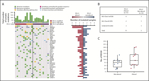 Figure 4. WES reveals PD-L1–altered DLBCLs are enriched for mutations in immune-related genes. (A) Profiles of recurrent nonsynonymous somatic mutations in DLBCLs with and without PD-L1 alterations. Each column represents a separate DLBCL case. Above each column is the mutational burden of each case as assessed by the total number of nonsynonymous somatic mutations. (B) Nonsynonymous somatic mutations (NSSMs) in genes involved in antigen presentation and T-cell costimulation in DLBCLs with vs without PD-L1 gene alterations (P = .02, Mann-Whitney U test). (C) Total mutational burden in DLBCLs with and without PD-L1 alterations (P = .34, Wilcoxon rank sum test with continuity correction).