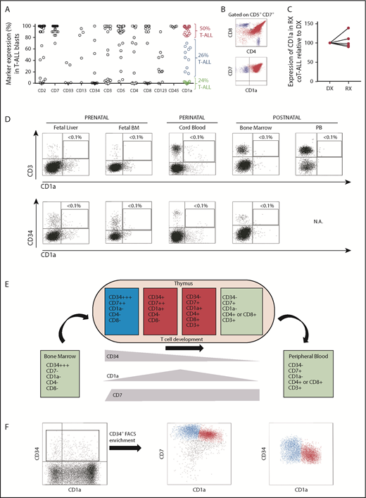 Figure 1. CD1a expression in T-ALL and normal hematopoiesis and thymopoiesis. (A) Immunophenotype of de novo T-ALL samples (n = 38) for the indicated markers. Red and blue circles identify CD1a+/++ and CD1alow/+ coT-ALL patients, respectively. Green circles depict non-coTALL patients. (B) Representative FACS dot plot of a patient with coT-ALL. Red cells are CD7+CD1a+ coT-ALL blasts, and blue cells are normal mature T cells (CD3+CD7+CD1a–, either CD4+ or CD8+) present in the diagnostic (DX) sample. (C) CD1a is retained at relapse (RX) (n = 5 DX-RX coT-ALL pairs). Data shown as CD1a expression in RX samples relative to the DX-matched samples (DX shown as 100% expression). (D) T cells and CD34+ HSPCs do not express CD1a across ontogeny. (E) Scheme depicting the phenotype of developing thymic T-cell populations. (F) Representative FACS for precortical (CD34highCD7++CD1a–) and cortical (CD34+CD7++CD1a+) thymocytes.