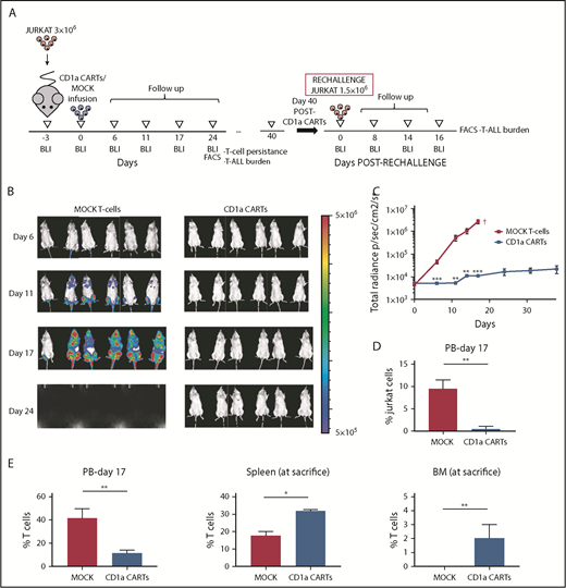 Figure 4. CD1a CARTs fully control the progression of coT-ALL cells in a mouse xenograft setting. (A) Scheme of the xenograft model. NSG mice (n = 6/group) were IV injected with 3 × 106 Luc/GFP–expressing Jurkat cells followed 3 days after by a single IV injection of 5 × 106 MOCK or CD1a CARTs. Tumor burden was monitored every 4 to 6 days according to BLI using IVIS imaging. When MOCK-treated animals were fully leukemic, one-half of the CD1a CART-treated animals were euthanized and analyzed by using FACS (BM, PB, and spleen) for leukemic burden and CART persistence. The remaining animals were rechallenged 6 weeks later with 1.5 × 106 Luc-Jurkat cells and were followed up as before. (B) IVIS imaging of tumor burden monitored by BLI at the indicated time points. (C) Total radiance quantification at the indicated time points. †Euthanization. (D) Circulating Jurkat cells in PB 17 days after CARTs infusion. (E) T-cell persistence in PB at day 17, and spleen and BM at euthanization. Data are shown as mean ± SD (n = 6 mice/group). *P < .05, **P < .01, ***P < .001.
