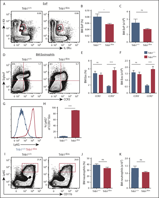 Figure 4. Eosinophil-specific deletion of Trib1 results in Ly6G+ eosinophil development with improved preservation of EoPs. (A) Representative plots of BM EoP, gated on live, lineage−CD34+ cells from Trib1+/+ and Trib1ΔEos mice. Frequency of live cells (B) and absolute numbers (C) of BM EoP from Trib1+/+ and Trib1ΔEos mice; n = 6 mice per group, pooled from 2 experiments. (D) Representative plots of BM eosinophils from Trib1+/+ and Trib1ΔEos mice gated on live, CD11b+ cells. Frequency of live cells (E) and absolute numbers (F) of BM eosinophils by CCR3 expression. (G) Representative histogram of Ly6G expression, gated on live, CD11b+SiglecF+CCR3+, Trib1+/+ (blue), Trib1ΔHSC (red). (H) Frequency of SiglecF+CCR3+ cells expressing Ly6G; n = 11 mice per group, pooled from 4 experiments. (I) Representative plots of BM neutrophils from Trib1+/+ and Trib1ΔEos mice, gated on live, SiglecF− cells. (J) Frequency of live cells and (K) absolute numbers of BM neutrophils; n = 11 mice per group, pooled from 4 experiments. *P = .0289; ****P < .0001; unpaired Student t test. Frequencies and error bars are mean ± SEM of live cells.