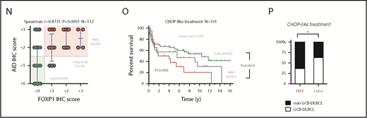 Aberrant coexpression of FOXP1 and AID characterizes NF-κB-driven murine and human ABC-DLBCL. (A) Representative immunohistochemical staining of FOXP1 (nuclear) and AID (cytoplasmic) in normal splenic GCs and lymphomas. Scale bars, 200 μm or 10 μm at insets. (B) Expression analysis by qRT-PCR of FACS-sorted reporter-positive normal resting or GCBs, and lymphoma B cells (n5 animals). Relative values were normalized to resting or GCB expression levels for mFoxp1 or mAID, respectively. (C) Expression analysis by qRT-PCR of paired NBC or GCBs magnetically sorted from human tonsils or FACS sorted from normal murine spleens (n4). Relative values are normalized to endogenous levels h/mGAPDH. (D) Representative images of inverse correlation of FOXP1 and AID expression in reactive human tonsil or murine spleen examined by IHC, using combined labeling of anti-FOXP1 (brown) and anti-AID (red). Scale bars, 200 μm; magnification, ×20. (E) ChIP-seq data from OCI-Ly1 cells showing enrichment of FOXP1 on the hAID locus. Distribution of FOXP1 occupancy is overlapped with chromatin-state models predicted by ENCODE ChromHMM from GM12878 (human B lymphoblastoid) or CH12 (mouse B-cell lymphoma) cells, and with the predicted conserved mAID gene locus according to Genome Browser comparison of hg19 and mm9 sequence data. Black boxes on top indicate genomic regions (R1-4) associated with transcriptional regulation of AID expression. (F) Comparison of hFOXP1 ChIP-seq peaks at intronic region 2 of the hAID locus observed here in OCI-Ly1 cells or previously in other GCB-DLBCL or ABC-DLBCL cell lines (GSE69009). (G) Validation of FOXP1 occupancy at AID intronic peaks and measured by ChIP-qPCR in human OCI-Ly1 DLBCL cells, as well as in resting or activated murine cells (ie, CH12 lymphoma cells and primary magnetically sorted CD19+ splenic cells). CIT, combination of anti-CD40 plus IL-4 and TNF-β; LPS, lipopolysaccharides. (H) Scatter plot of gene expression array data from OCI-Ly1 cells showing average log2 fold-changes (n = 3 replicates) in the expression of FOXP1-bound genes (according to ChIP-seq data from OCI-LY1) relative to scramble control after FOXP1 silencing with 2 different siRNAs. (I) Heat map of average fold-changes (n = 3 replicates) in the expression of FOXP1 and AID relative to scramble control after siRNA-mediated silencing of FOXP1 in DLBCL cell lines and in CIT-activated CH12 cells. (J) Forest graph plot of Pearson r coefficients measuring the correlation of hFOXP1 and hAID expression in previously published GSE series. (K) Scatter plot of FOXP1 and AID gene expression array data from R-CHOP-treated patients with DLBCL (n = 233, GSE10846). Median expression levels for FOXP1 (223287_s_at) and AID (219841_at) are indicated and were used as cutoff values for patient stratification. (L) Overall survival of R-CHOP-treated patients with DLBCL stratified by FOXP1/AID expression levels in panel K. (M) Distribution of COO-based subtypes in the FOXP1/AID HiHi and LoLo expression DLBCL subgroups stratified in panel K. COO subtypes were defined by expression signatures and were available in metadata from GSE10846. (N) Scatter plot of FOXP1 and AID protein expression data as measured by IHC scoring from CHOP-treated patients with DLBCL (n = 112). Median IHC scores are indicated and were used as cutoff values for patient stratification. (O) Overall survival of CHOP-treated patients with DLBCL stratified by FOXP1/AID IHC scores in panel N. (P) Distribution of COO-based subtypes in the FOXP1/AID HiHi and LoLo expression DLBCL subgroups stratified in panel N. COO subtypes were defined by the Hans IHC algorithm. HiHi, FOXP1highAIDhigh; LoLo, FOXP1lowAIDlow; NBC, naive B cells; UNC, unclassified.