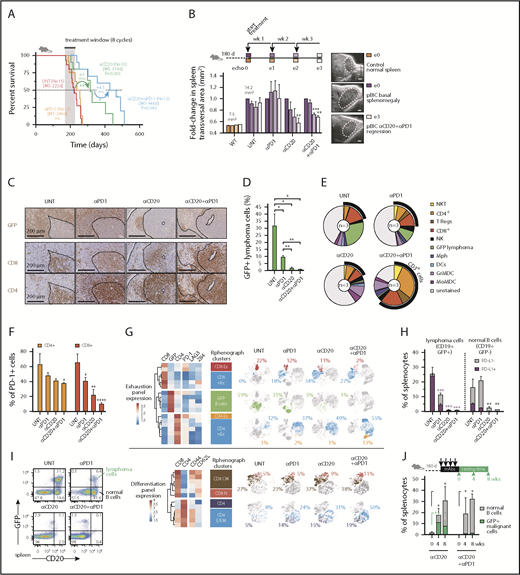 Figure 4. Immunotherapy with anti-PD-1 enhances anti-CD20 efficacy in the aggressive immunocompetent ABC-DLBCL mouse model. (A) Overall survival of murine ABC-DLBCL pBIC mice treated with different immunotherapy combinations. (B) Relative changes in splenic transversal areas measured by ventral ultrasound of pBIC mice (>180 days, with evidence of splenomegaly, n = 3) at 4 sequential times during immunotherapy treatment, as indicated in the scheme at the top. Representative ultrasound sections of the spleen are shown on the right. Scale bars, 1 mm. (C) Representative immunohistochemical staining of GFP, CD4, and CD8 to label T-cell infiltration in murine pBIC lymphomas (>180 days) that had received 4 weeks of immunotherapy. Scale bars, 200 μm. (D) Comparative percentages of splenic B220+GFP+ lymphoma cells from pBIC lymphomas (>180 days) in response to different 4-week immunotherapy regimens (n3). (E) Pie charts showing percentages of immune cells in the spleen pBIC mice (>180 days) after 4-week immunotherapy (n = 3). (F) Comparative fractions of PD-1-positive T cells in the TME of pBIC mice (>180 days) after 4-week immunotherapy (n = 3). (G) Heat maps of mean expression intensity of coinhibitory/exhaustion (top) and activation/differentiation (bottom) surface markers within lymphocyte subsets detected by RPhenograph clustering (n = 3 mice × 4 groups). Distribution of these cell populations in response to 4-week immunotherapy (n = 3) is represented in t-SNE maps and colored. Percentages indicate average abundance of each cell population in the corresponding treatment group. (H) Comparative fractions of PD-L1-positive or PD-L1-negative cells within the compartment of lymphoma cells (CD19+GFP+) or neighbor normal B cells (CD19+GFP−) from pBIC mice (>180 days) after 4-week immunotherapy (n = 3). (I) FACS analysis to assess the specific depletion of lymphoma or normal B cells in the spleen of pBIC mice (>180 days) after 4-week immunotherapy (n = 3). (J) Percentages of reappearing splenic lymphoma cells (CD20+GFP+) or neighbor normal B cells (CD20+GFP−) during a resting period of 8 weeks after anti-CD20–based immunotherapy that can efficiently deplete the B-cell compartment in pBIC mice (>180 days, n3). MS, median survival; UNT, untreated.