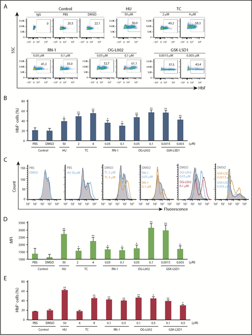 Figure 2. LSD1 inhibitors increase HbF in primary human erythroid progenitor CD34+ cells and in sickle iPSC-derived erythroblasts (SS24 cells). (A) Representative flow cytometry plots of HbF-stained cultured CD34+ cells treated with LSD1 inhibitors. After 7 days of expansion and 3 days in differentiation phase, cells were treated with 0.05 and 0.1 μM OG-L002 or 0.02 and 0.1 μM GSK-LSD1 along with controls (50 μM HU, 2 and 4 μM TC, 0.05 and 0.1 μM RN-1, PBS, or DMSO) for a further 5 days in differentiation culture. (B) CD34+ cells flow cytometry data shown as bar graphs. Representative histograms showed the fluorescence (C), and mean fluorescence intensity (D), of the treated CD34+ cells compared with controls. (E) SS24 cells were recovered in expansion media for 3 days and then treated with 0.1 and 0.5 μM OG-L002 or 0.1 and 0.5 μM GSK-LSD1 along with controls (50 μM HU, 4 and 8 μM TC, 0.1 and 0.5 μM RN-1, PBS, or DMSO) for 3 additional days in expansion media. Flow cytometry data of HbF-stained cultured cells treated with drugs or controls shown as bar graphs. (All data represent the average of 3 independent biological replicates. All statistical analyses were calculated using an unpaired 2-tailed Student t test. *P < .005 and **P < .0005.)