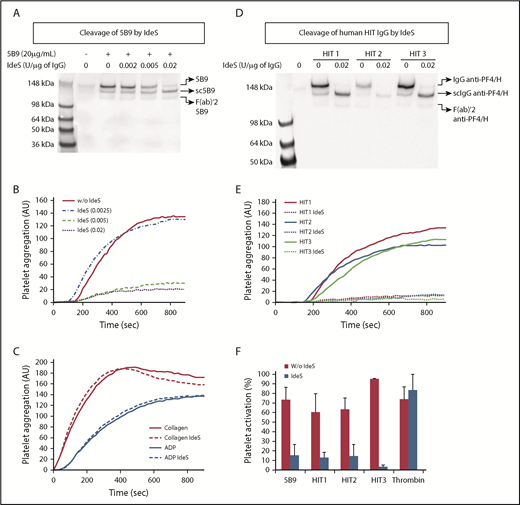 Figure 2. Cleavage of anti-PF4/H IgG by IdeS in WB and impact on H-dependent platelet activation and aggregation. (A,D) Western blot analysis after cleavage in whole blood by IdeS of 5B9 (A) or human HIT IgG (D) (n = 2 experiments). The amount of IdeS added varied from 0.002 to 0.02 U/μg IgG, considering that IgG concentration in whole blood from healthy donors was ∼7.5 mg/mL. (B,C-E) Representative platelet aggregation curves obtained with 5B9 (B), collagen and ADP (C), and human HIT plasma samples (E), without and with IdeS (n = 3 experiments). (F) Maximal serotonin release (mean ± SEM; n = 3 platelet donors) induced by thrombin (1 U/mL), 5B9 (20 µg/mL), or HIT plasma samples with 0.1 IU/mL UFH, previously treated or not with IdeS (0.02 U/µg IgG; 6 minutes at 37°C). All experiments were performed with whole blood from 2 or 3 healthy donors. *P < .05. AU, arbitrary units.