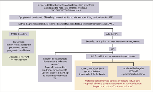Figure 1. Impact of extended testing on clinical management of patients with IPDs. Once IPDs are ruled out, which may require stem cell transplantation or substitution of defect thrombopoietin, extended diagnosis of IPDs is primarily relevant for patients with MYH9 disorders. In these patients, inhibition of the renin-angiotensin pathway in case of proteinuria can prevent progression to renal failure. In all other IPDs, extended testing has no major impact on management. However, for some patients, it might be a relief of disease burden to know the reason for the bleeding tendency, but identifying the reason is often more important for concomitant disease manifestations in syndromic forms. Documentation of the specific diagnosis may also help to avoid later mistreatment as immune thrombocytopenia. It is important to be aware of the risk of causing additional severe disease burden when extended testing (either by NGS or other methods like immunofluorescence) reveals gene mutations with an increased risk for leukemia or other pathologic variants as incidental findings. At the least, specific informed consent should be obtained before testing for gene mutations with an increased risk for malignancies (RUNX1, ANKRD26, ETV6) and for reporting of incidental findings. Patients have the right to “not know.” This could be respected by creating virtual gene panels, allowing patients/parents an opt-out decision. The informed consent procedure before extended testing for IPDs, especially using NGS, should be very specific on why tests are performed, which results may be obtained, including the consequences they may have, and whether the patient wants to know results that have no direct relevance for management and/or treatment. CAMT, congenital amegakaryocytic thrombocytopenia; HPS, Hermansky-Pudlak syndrome; ITP, immune thrombocytopenia; MECOM, congenital amegakaryocytic thrombocytopenia and radioulnar synostosis; THPO, thrombopoietin mutation; WAS, Wiskott-Aldrich syndrome; WES, whole-exome sequencing.