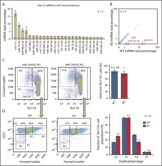 Figure 1. miR-144/451 deletion reduces mature erythroblasts in mouse FL. (A) The 25 most abundant miRNAs in WT erythroblasts, measured by miRNA-Seq. The miRNAs absent in KO erythroblasts are labeled red. Graph shows mean plus or minus standard error of the mean (SEM) for 3 biological replicates. The dotted red line marks 1% abundance. (B) Relative expression of miRNAs in WT vs KO erythroblasts. Each point represents a single miRNA plotted as percentage of total (average for 3 biological replicates). miRNAs absent in KO erythroblasts are circled and labeled in red. (C) Flow cytometry analysis of forward scatter and Ter119 expression in miR-144/451 WT and KO FL erythroblasts. (D) CD71 expression and forward scatter in the Ter119+ populations from panel C. Four progressive stages of erythroblast maturation (P2 to P5) are boxed. Bar graphs at right show mean plus or minus SEM for data from 10 biological replicates. *P < .05; ***P < .001. n.s., not significant by Mann-Whitney U test.