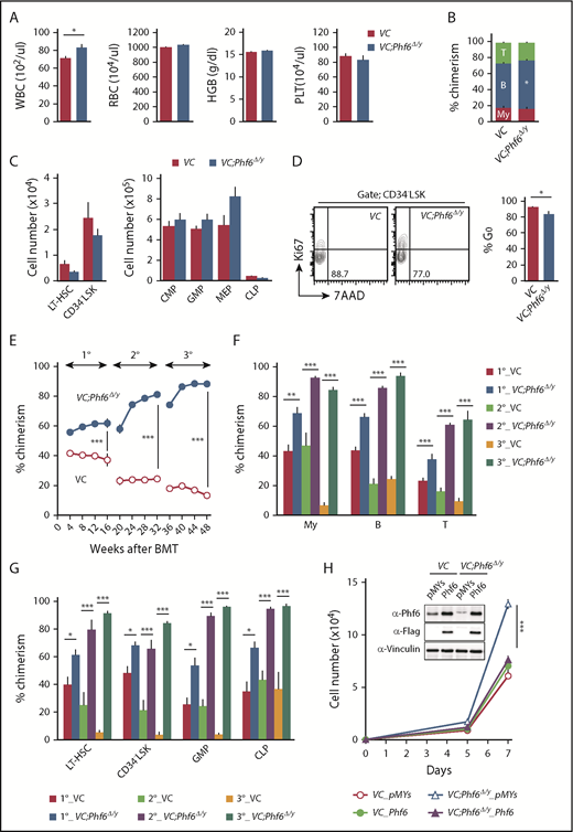 Figure 2. Phf6 deletion at the fetal stage enhances the repopulating capacity of adult HSCs. (A) PB cell counts in VC and VC;Phf6Δ/y mice. WBC, red blood cell (RBC), and platelet (PLT) counts and hemoglobin (HGB) levels in PB from VC (n = 6) and VC;Phf6Δ/y mice (n = 8) at 12 weeks of age. (B) The proportions of myeloid (My) (Mac-1+ and/or Gr-1+), B220+ B cells, and CD4+ or CD8+ T cells among CD45.2+ cells in PB from VC (n = 6) and VC;Phf6Δ/y (n = 8) mice at 12 weeks of age. (C) Absolute numbers of CD150+CD34−LSK LT-HSCs, CD34−LSK HSCs, myeloid progenitors (CMP, GMP, and MEP), and CLPs in a pool of femurs and tibias from VC (n = 5) and VC;Phf6Δ/y mice (n = 5) at 12 weeks of age. (D) Cell-cycle status of CD34−LSK HSCs identified by Ki67 and 7-aminoactinomycin D (7-AAD) staining at 12 weeks of age. Representative flow cytometric profiles (left panel). The proportion of G0 (Ki67−) cells in CD34−LSK HSCs is shown as the mean plus or minus SEM (n = 6 or 7) (right panel). (E) Competitive repopulating assays. A total of 5 × 106 BM cells from VC and VC;Phf6Δ/y mice (donor, CD45.2) mixed with the same number of BM cells (competitor, CD45.1) were transplanted into lethally irradiated CD45.1 congenic recipients. In serial transplantations, the same numbers of BM cells from all recipients were pooled and 2 × 106 BM cells were then injected into lethally irradiated CD45.1 congenic recipients. The chimerism of donor-derived CD45.2+ cells in the PB of primary (1°), secondary (2°), and tertiary (3°) recipients are shown as the mean plus or minus SEM (n = 5 or 6). (F) The chimerism of My, B-, and T-cell lineages in PB 16, 32, and 48 weeks after 1° transplantation are shown as the mean plus or minus SEM (n = 5 or 6). (G) The chimerism of LT-HSCs, CD34−LSK, GMPs, and CLPs 16, 32, and 48 weeks after 1° transplantation are shown as the mean plus or minus SEM (n = 5 or 6). (H) Growth of VC and VC;Phf6Δ/y CD150+CD34−LSK HSCs in vitro. Freshly sorted HSCs were transduced with a control retrovirus (pMYs) or retrovirus expressing Phf6 (Phf6). After GFP sorting, GFP+ cells were cultured under HSC culture conditions (SCF+TPO) for 7 days. Data are shown as the mean plus or minus SEM of triplicate cultures. Insets, Western blot data of cells in culture on day 7. *P < .05, **P < .01, ***P < .001 by the Student t test. BMT, BM transplantation.
