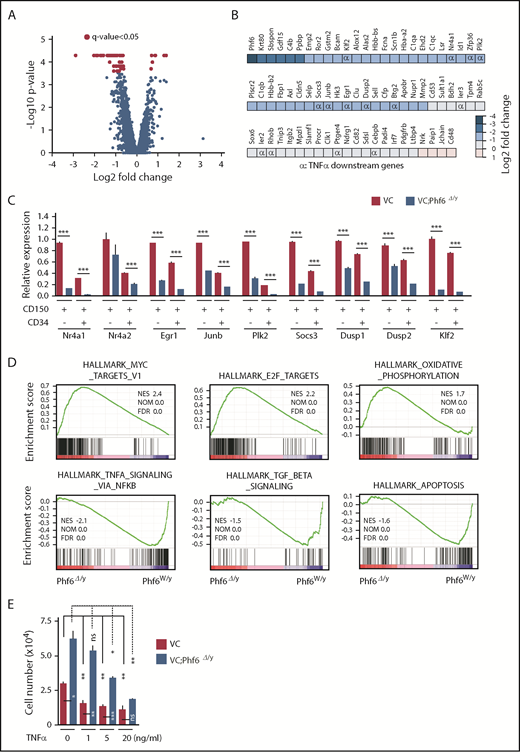 Figure 5. Expression profiling on Phf6-deficient HSCs. (A) Volcano plot showing gene-expression changes upon the Phf6 deletion. Red circles indicate genes that showed significant expression changes (q value < 0.05) in Phf6Δ/y HSCs. (B) Differentially expressed genes and their fold-expression changes are shown as a heatmap. “α” shows genes included in the gene set “HALLMARK_TNFA_SIGNALING_VIA_NFKB.” (C) RT-qPCR analysis of the indicated genes in CD150+CD34−LSK and CD150+CD34+LSK cells. Hprt1 was used to normalize the amount of input RNA. Data are shown as the mean plus or minus SEM (n = 3). Significance is shown relative to VC. *P < .05, **P < .01, ***P < .001 by the Student t test. (D) GSEA performed using RNA-sequence data. GSEA plots of representative data are shown. Normalized enrichment scores (NES), nominal P values (NOM), and false discovery rates (FDR) are indicated. (E) Effects of TNFα on HSC proliferation. Freshly sorted HSCs were cultured under HSC culture conditions (10 ng/mL SCF and TPO) with various dosages of TNFα for 10 days. Data are shown as the mean plus or minus SEM. *P < .05; **P < .005; ***P < .0005 by the Student t test. TGF, transforming growth factor.
