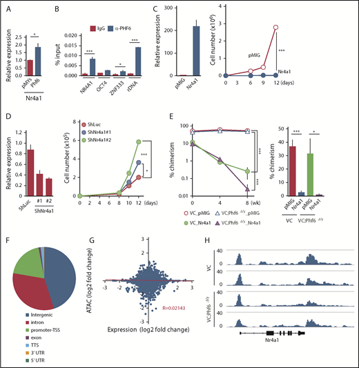 Figure 6. Phf6 activates downstream effectors of TNFα signaling. (A) RT-qPCR analysis of Nr4a1 in control (pMYs) or Phf6-transduced LSK cells. (B) ChIP qPCR analysis using the PHF6 antibody in K562 cells. The relative amount of immunoprecipitated DNA is depicted as a percentage of input DNA. Data are shown as the mean plus or minus SEM of triplicate PCRs. Significance is shown relative to the immunoglobulin G (IgG) control. (C) Gain-of-function analysis of the Nr4a1 gene. HSCs were transduced with a control retrovirus (pMIG) or a retrovirus expressing Nr4a1 (Nr4a1). After GFP sorting, GFP+ cells were subjected to a RT-qPCR analysis (left panel) and proliferation assay (right panel). In the proliferation assay, GFP+ cells were cultured under HSC culture conditions (SCF+TPO) for 12 days. (D) Loss-of-function analysis of the Nr4a1 gene. HSCs were transduced with lentiviruses generating shRNAs against Luciferase (Luc) or Nr4a1, and GFP+ cells were then processed as shown in panel C. (E) Effects of Nr4a1 expression on VC;Phf6Δ/y HSCs in vivo. HSCs were sorted from VC or VC;Phf6Δ/y mice, transduced with a control retrovirus (pMIG), or a retrovirus expressing Nr4a1 (Nr4a1), and transplanted into irradiated CD45.1 recipients together with CD45.1 rescue BM cells. The chimerism of GFP+CD45.2+ donor-derived cells in PB (left panel) and BM HSCs 8 weeks after transplantation (right panel) is shown (n = 5 or 6). The chimerism at 0 weeks shows the transduction efficiency of HSCs examined just before transplantation. (F) Pie chart showing the distribution of 75 230 ATAC peaks in HSCs. (G) Scatterplot showing gene-expression changes in Phf6Δ/y HSCs relative to Phf6W/y HSCs and changes in ATAC signals at the proximal promoter regions in VC;Phf6Δ/y HSCs relative to VC HSCs. The correlation coefficient between changes in expression and ATAC signals as well as the linear regression are shown in red. (H) Gene tracks showing ATAC peaks in VC and VC;Phf6Δ/y HSCs at the Nr4a1 locus. The x-axis indicates the linear sequence of genomic DNA, and the y-axis represents the total number of mapped reads. rDNA, ribosomal DNA; TTS, transcription termination site; UTR, untranslated region.