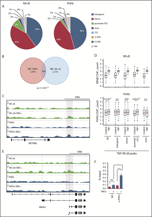 Figure 7. TNFα enhances the genomic binding of PHF6. (A) Pie chart showing the distribution of PHF6 and NF-κB (p65) peaks. (B) Venn diagram showing the overlap between PHF6 and NF-κB (p65) peaks. (C) Gene tracks showing PHF6 and NF-κB (p65) peaks in control and TNFα-treated K562 cells at the METRNL locus. The x-axis indicates the linear sequence of genomic DNA, and the y-axis represents the total number of mapped reads. (D) Box-and-whisker plots showing NF-κB (p65) and PHF6 ChIP combined with high-throughput sequencing signals in the NF-κB–bound regions identified in TNFα-treated K562 cells. Boxes represent 25 to 75 percentile ranges. Vertical lines represent 10 to 90 percentile ranges. Horizontal bars represent medians. Mean values are indicated by red crosses. (E) Gene tracks showing PHF6 and NF-κB (p65) peaks in control and TNFα-treated K562 cells at the NR4A1 locus. The x-axis indicates the linear sequence of genomic DNA, and the y-axis represents the total number of mapped reads. The region detected by ChIP qPCR is indicated by a red bar. (F) ChIP qPCR assays for NF-κB (p65) and PHF6 in control and TNFα-treated K562 cells at the NR4A1 locus. The relative amounts of immunoprecipitated DNA are depicted as percentages of input DNA. Data are shown as the mean plus or minus SEM of triplicate PCRs. *P < .05, **P < .01, ***P < .001 by the Student t test. NA, not applicable; n.s., not significant.