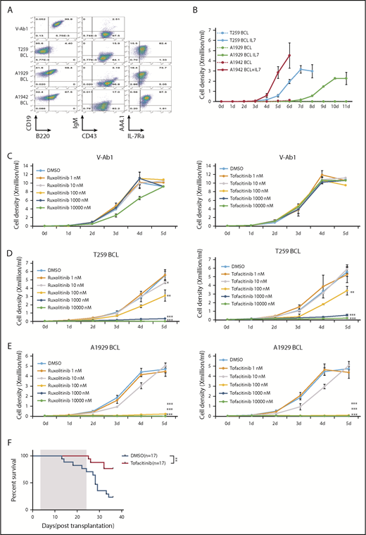 Figure 2. NP23/Bcor pro-B1 ALL cell lines are sensitive to JAK inhibitors. (A) V-Ab1, T259, A1929, and A1942 B-cell line (pro-B1 cell line) were stained with the indicated antibodies. Expression of AA4.1 and IL7-Ra were detected when B-cell line were cultured in RPMI medium without IL7 and serum for 6 hours. (B) Growth curve for T259, A1929, and A1942 B-cell line. A total of 1 × 104 T259, A1929, and A1942 B-cell lines were plated and cultured for 11 days in RPMI medium with or without 5 ng/mL IL-7. Growth curves of a v-Abl transformed B-cell line (C), T259 B-cell line (D), and A1929 B-cell line (E) treated with ruxolitinib (left) or tofacitinib (right) for 5 days. Cell number was determined by trypan blue exclusion. Each point represents the mean ± standard deviation (n = 3). Student t test: *P < .05; **P < .01; ***P < .001. (F) Survival curve for leukemic mice treated with tofacitinib. Mice were transplanted with 1 × 106 T259 B-cell line and treated daily for 21 days (treatment duration shaded in gray), beginning day 3 posttransplant, with either 40 mg/kg/d tofacitinib or vehicle control via oral gavage. P value is indicated (log-rank Mantel-Cox test). DMSO, dimethyl sulfoxide.