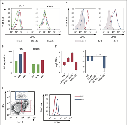 Figure 1. Expression of CD30 on B cells. (A) The histograms show an overlay of CD30 surface expression on B1a (CD5+B220lowCD19+), B1b (CD5lowB220lowCD19+), and B2 cells (B220highCD19+) of the PerC and spleen (n = 3). (B) In silico analysis of immgen.org data showing CD30 (TNFRSF8) mRNA expression in different B-cell populations of the PerC and spleen. (C) The overlays show CD30 and CD86 surface expression of splenic B cells in the absence of stimulation (day 0) and after 1 or 3 days of CD40 plus IgM stimulation. Staining of CD86 was used as positive control for B-cell activation (n = 3). (D) CD30 mRNA expression at different B-cell activation stages after CD40 and lipopolysaccharide (LPS) stimulation of unstimulated follicular B (FoB) cells, CD40/IL4 blasts (B220+CD138−), CD40/IL4/IL5 plasmablasts (PBs) (B220lowCD138+), LPS blasts (BLIMP1−CD138−), LPS PB SDC− (Blimp1+CD138−), LPS PB SDC1+ (BLIMP1+CD138+), and splenic PCs. CD30 mRNA expression was determined by in silico analysis of expression data published by Shi et al.49 (E) The histogram shows an overlay of CD30 surface expression of IRF4+ vs IRF4− splenic B cells of a control mouse 3 days after immunization with NP-Ficoll. Gating was performed as shown in the dot plot. Dot plots were pregated on a large lymphocyte gate and Thy1.2− cells. The analysis is representative of 2 independent experiments with 3 mice each. FPKM, fragments per kilobase of exon per million reads mapped; MZB, marginal zone B cells.