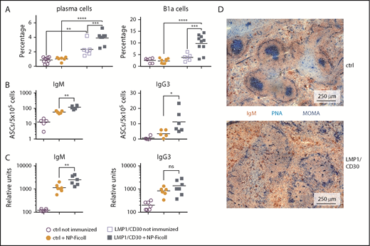 Figure 5. CD30 signaling enhances expansion of B1a cells and PCs upon TI-2 immunization. (A) Mice were immunized with NP-Ficoll and analyzed 14 days postimmunization. Percentages of PCs (CD138+B220lowGr1−Thy1.2.−CD11b−) and B1a cells (CD5+CD19+B220low) in the spleen were determined by flow cytometry. Fourteen days after immunization, IgM- and IgG3-secreting PCs from the spleen were determined by ELISpot analysis (B) and serum titers of IgM and IgG3 antibodies binding to NP17-BSA were determined by ELISA (C). (D) Splenic sections from LMP1/CD30 and control (ctrl) mice were stained for GC B cells (PNA; blue), Metallic macrophages surrounding the primary follicles (MOMA; blue) and B cells (IgM; red/brown) 14 days after NP-CGG immunization. *P < .05, **P < .01, ***P = .001, ****P < .0001. ASC, antibody secreting cell.