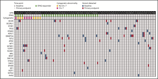 Figure 3. Acquired somatic mutations in myeloid cancer and AA-related genes in relation to EPAG treatment. Targeted deep sequencing and/or WES was performed on bone marrow cells from 64 patients. Detection of acquired variants in a panel of genes with somatic mutations associated with myeloid cancer or AA are shown. Each row indicates a specific MC/AA gene and each column a patient, with results shown for baseline and primary end point (3 months for study 1, 6 months for study 2). The panel of MC/AA genes is given in the supplemental Methods, and the mutations detected are listed in supplemental Table 8.
