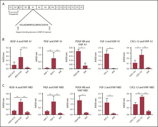 Figure 4. The HBD within the A1 domain of VWF mediates GF binding. (A) The location of the A1 domain and HBD within VWF. (B-C) Affinity of VEGF-A, PlGF, PDGF-BB, FGF-2, or CXCL-12 against (B) recombinant VWF A1 domain protein or (C) VWF A1 HBD peptide. ELISA plates were coated with 10 µg/mL recombinant VWF A1 domain protein or 10 µg/mL VWF A1 HBD peptide and further incubated with a 1-μg/mL VEGF-A, PlGF, PDGF-BB, FGF-2, or CXCL-12 solution. Bound GF or chemokine was detected by using a specific antibody for each GF or chemokine (n = 4; data are mean ± SD). Analysis of variance (ANOVA) with Tukey’s test or Mann-Whitney U test was performed. *P < .05; **P < .01.