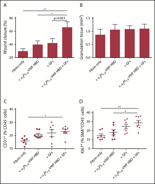 Figure 7. Delivering GFs within VWF HBD–functionalized fibrin matrices enhances skin wound healing in diabetic mice. Full-thickness back-skin wounds were treated with combined 100 ng of VEGF-A165 and 50 ng of PDGF-BB. Four groups were tested: fibrin only, fibrin functionalized with α2PI1–8-VWF HBD only, fibrin containing GFs only, and fibrin functionalized with α2PI1–8-VWF HBD containing GFs. After 7 days, (A) wound closure and (B) granulation tissue area were evaluated by histomorphometry (n = 11-13 per treatment group; data are mean ± SEM). Five days after the wound treatment, (C) the frequency of CD31+CD45– ECs within total alive cells and (D) proliferation of SMA+CD45– SMCs assessed by Ki67+ marker was determined by using flow cytometry (data are mean ± SEM). *P < .05; **P < .01, ANOVA with Tukey’s test.
