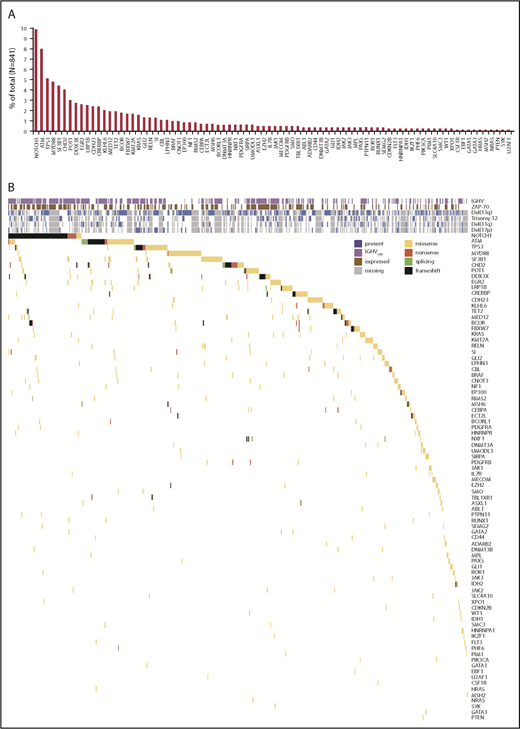 Figure 1. Repertoire of recurrent deleterious mutations observed in 841 patients with CLL. (A) The percentage of cases with mutations in each gene is represented by red bars. (B) Heat map of IGHV mutational status, ZAP-70 expression, cytogenetic aberrations, and deleterious mutations observed in this cohort. Purple boxes indicate which patients have CLL cells with IGHVUM, brown boxes indicate which patients have CLL cells expressing ZAP-70, blue boxes indicate which patients have CLL cells carrying cytogenetic deletions (Del13q, Trisomy 12, Del11q, or Del17p), and gray boxes indicate missing data. Yellow boxes represent missense mutations, black frameshift mutations, green splicing mutations, and red nonsense mutations.