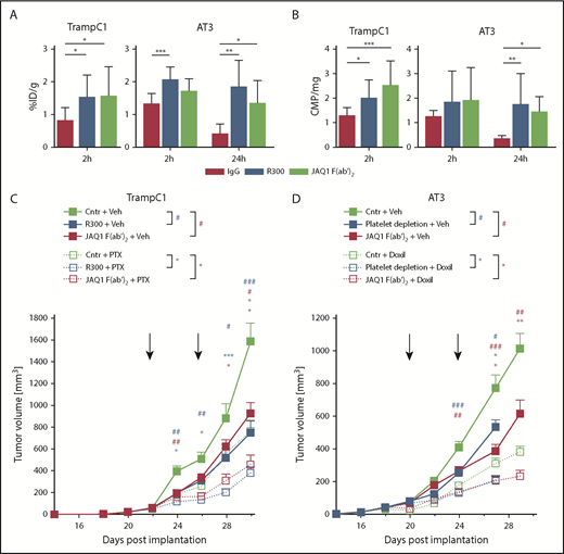 Figure 3. Combination of chemotherapeutic agents and GPVI blockade decreases tumor growth. TrampC1 and AT-3 tumor-bearing mice were treated with Doxil and 3H-PTX in combination with IgG control, R300, or JAQ1 F(ab′)2. After 2 and 24 hours, the concentration of Doxil (A, 2 hours) or 3H-PTX (B, 2 hours and 24 hours) within the tumor was measured. Mean with SD is displayed. ***P < .001, **P < .01, and *P < .05; Kruskal-Wallis with Dunn’s multiple comparisons test. Tumor volume was measured in TrampC1 (C) and AT-3 (D) tumor-bearing mice every second day. Data are presented as mean ± SEM. ***/###P < .001, **/##P < .01, and */#P < .05 (where * stands for the group treated with the chemotherapeutic agent and # the vehicle in the respective color); Kruskal-Wallis with Dunn’s multiple comparisons test. ID/g, injected dose per gram.
