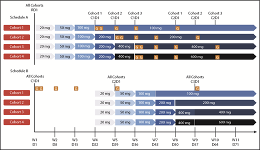 Figure 1. Dosing schedule. Schedule A, Venetoclax followed by obinutuzumab. Schedule B, Obinutuzumab followed by venetoclax. For both the R/R and 1L populations, schedule A was examined prior to schedule B. Data from schedule A provided safety guidance for subsequent dose finding for patients in schedule B after a data review by an internal monitoring safety team and a scientific overview committee. Venetoclax ramp-up: 3 weeks for the 100-mg cohort, 4 weeks for the 200-mg cohort, and 5 weeks for the 400-mg cohort; each cohort dose was continued for a total of 12 months with potential for extension if BM MRD+ or PR (1L) or until disease progression (R/R); venetoclax plus obinutuzumab (6 cycles), then venetoclax monotherapy. Cohort 4 (600 mg) was planned but not explored. Venetoclax ramp-up and maximum cohort dose are indicated by the blue arrows. Obinutuzumab dosing schedule: C1D1, 100 mg; C1D2, 900 mg; C1D8 and 15, 1000 mg; C2-6D1, 1000 mg. C, cycle; D, day; G, GA101/obinutuzumab; PR, partial response; RD1, ramp-up day 1; W, week.