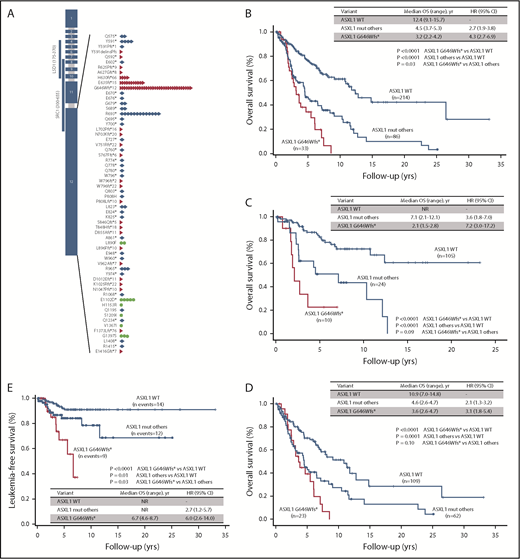 Figure 1. ASXL1 schematic structure and localization of exon 12 mutations. Regions encoding the SRC1-binding domain and lysine-specific demethylase-1 (LSD1)-binding domain are indicated. Each single mutation is shown as: blue diamond, nonsense; red triangle, indel; green dot, missense mutations (A). Overall survival (OS) for patients stratified according to the presence of G646Wfs*12 variant, other ASXL1 mutations, and a wild-type (WT) genotype is shown as Kaplan-Meier survival curves for all patients of the cohort (n = 333; B), patients with prefibrotic PMF (n = 139; C), and overt PMF (n = 194; D). The leukemia-free survival (LFS) for all patients of the cohort is shown in panel E. CI, confidence interval; HR, hazard ratio; mut, mutation; NR, not reached; yr/yrs, year/years.