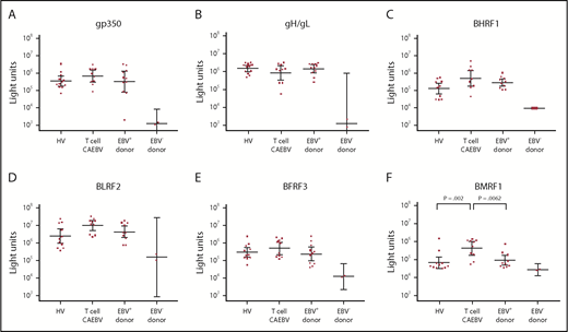 Figure 4. EBV protein antibody levels to gp350 (A), gH/gL (B), BHRF1 (C), BLRF2 (D), BFRF3 (E), and BMRF1 (F) in patients with HV, T-cell CAEBV without HVLPD, and healthy EBV-seropositive (EBV+) and EBV-seronegative (EBV−) blood-bank donors. Antibody levels were determined by immunoprecipitation and measured in light units.