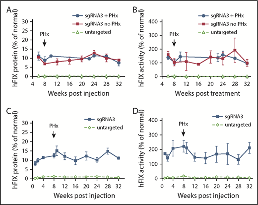 Figure 2. Efficacy of AAV8.SaCas9-mediated hepatic gene targeting in FIX-KO mice treated as newborns and adults. (A) hFIX protein levels in FIX-KO mouse plasma after neonatal temporal vein injection of AAV8.SaCas9 (5 × 1010 GCs per pup) and AAV8.sgRNA3.hFIXco-Padua donor (2.5 × 1011 GCs per pup) (n = 6). A subset of treated mice (n = 3) was subjected to two-thirds partial hepatectomy 8 weeks postvector treatment. All treated mice were euthanized 32 weeks postvector treatment. Untargeted FIX-KO pups (n = 8) received AAV8.SaCas9 (2.5 × 1011 GCs per pup) and AAV8.control.hFIXco-Padua donor (2.5 × 1012 GCs per pup). One untargeted mouse died at week 8 from hemorrhage, 3 were euthanized at week 8 for analyses, and the remaining 4 were euthanized at 32 weeks. (B) hFIX activity in FIX-KO mouse plasma after neonatal vector treatment. (C) hFIX protein levels in adult-treated FIX-KO mouse plasma after tail vein injection of AAV8.SaCas9 (5 × 1011 GCs per mouse) and AAV8.sgRNA3.hFIXco-Padua donor (5 × 1012 GCs per mouse) (n = 5). All treated mice were subjected to two-thirds partial hepatectomy 8 weeks postvector treatment and were euthanized 32 weeks postvector treatment. Untargeted FIX-KO mice (n = 8) received AAV8.SaCas9 (5 × 1011 GCs per mouse) and AAV8.control.hFIXco-Padua donor (5 × 1012 GCs per mouse). Three of the untargeted mice were euthanized at week 8, and liver samples were harvested for analyses; the remaining 5 mice were euthanized at 32 weeks. (D) hFIX activity in adult-treated FIX-KO mouse plasma. Data are mean ± SD.