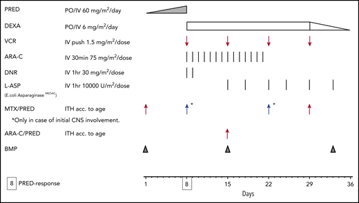 Figure 1. Interfant induction, now used by all 3 cooperative groups (Interfant, COG, and JPLSG). ARA-C, cytarabine; BMP, bone marrow procedure; DEXA, dexamethasone; DNR, daunorubicin; ITH, intrathecal; MTX, methotrexate; PRED, prednisone; VCR, vincristine.