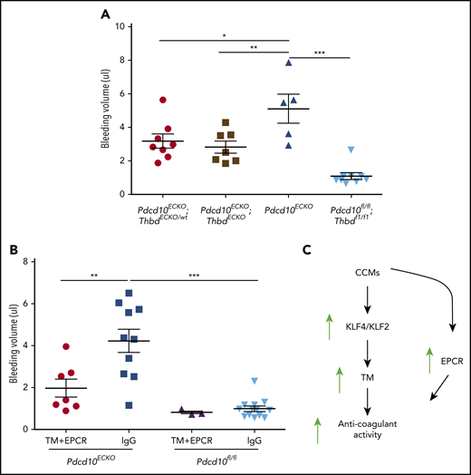 Figure 7. TM and EPCR create an anticoagulant vascular domain in CCMs. Measurement of hemoglobin content of extravasated erythrocytes from hindbrains at P10. (A) Decreased cerebellar hemorrhages are observed in Pdcd10ECKO;ThbdECKO/wt or Pdcd10ECKO;ThbdECKO mice compared with Pdcd10ECKO littermates. Pdcd10fl/fl is a non-CCM lesion control (SEM, n = 5 or 8). (B) Blocking antibodies against TM (4.6 μg/g) and EPCR (2.6 μg/g) or immunoglobulin G (7.2 μg/g) control were injected retro-orbitally into Pdcd10ECKO mice or control Pdcd10fl/fl littermate controls at P7 (SEM, n = 3 or 13). (C) Schematic diagram of the formation of an anticoagulant domain in CCM lesion. Increased expression of KLF2 and KLF4 transcription factors lead to upregulation of brain endothelial TM. In addition, EPCR expression is upregulated in CCMs independently of KLF2 and KLF4. Increased levels of TM and EPCR create anticoagulant domains that predispose the CCM lesions to hemorrhages.
