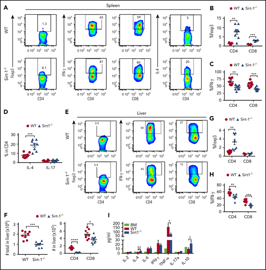 Figure 2. Sirt-1 inhibits iTreg differentiation after allo-BMT. Two weeks after allo-BMT (B6 to BALB/c model), spleen and liver of the recipients were harvested and analyzed. (A-D) Representative dot plots and the average percentages of Foxp3, IFN-γ, IL-4, and IL-17 expressions on gated donor CD4+ or CD8+ T cells from spleen are shown. (E-H) Representative dot plots and the frequency of Foxp3 and IFN-γ+ cells gated on donor CD4+ or CD8+ T cells from liver are shown. (F) The absolute number of total cells recovered from liver and absolute numbers of donor CD4+ and CD8+ T cells are depicted. (I) Cytokine analyses of mice serum on day 14 are shown (n = 8 mice/group). Student t test was used for statistical analysis. *P < .05; **P < .01; ***P < .001.