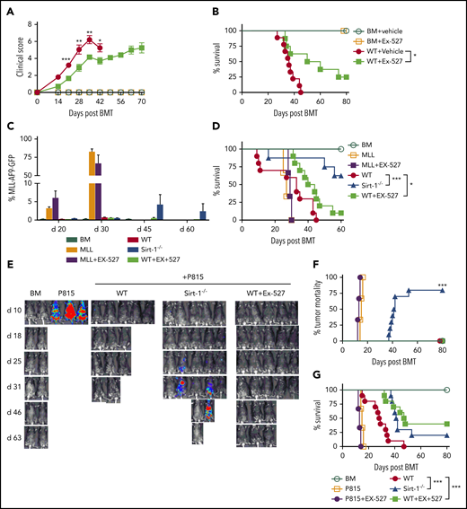 Figure 5. Pharmacological inhibition of Sirt-1 with Ex-527 alleviates aGVHD while preserving the GVL activity. (A-B) GVHD experiments: Lethally irradiated (700 cGy) BALB/c mice underwent transplantation with 5 × 106 TCD-BM alone or plus 0.7 × 106 CD25− T cells per mouse isolated from WT and administered with either phosphate-buffered saline or 2 mg/kg Ex-527/mouse/day daily for 3 weeks. (A) GVHD clinical score. (B) Survival (n = 10 mice/group). (C-G) GVL experiments: (C) Bar graph shows quantified percentages of MLL-AF9-GFP in the recipients’ peripheral blood on days 20, 30, 45, and 60 (n = 10 mice/group). (D) Survival of recipient mice was monitored. (E-G) Lethally irradiated (1100 cGy, split dose) BDF1 recipients were transplanted with 5 × 106 TCD-BM and 5 × 103 P815 mastocytoma plus 3 × 106 CD25− T cells. Recipients were monitored for tumor burden. (E) Representative images of tumor growth measured by bioluminescent imaging. (F) Tumor mortality and (G) mouse survival were monitored. Data were combined from 2 independent experiments (n = 10 mice/group). Log-rank (Mantel-Cox) test was used to compare the tumor mortality and survival. *P < .05; **P < .01; ***P < .001.