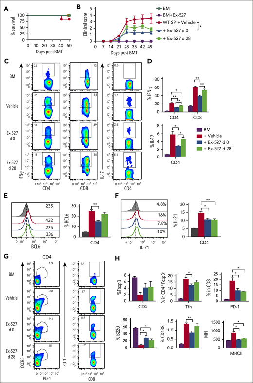 Figure 7. Treatment with Ex-527 attenuates cGVHD. Lethally irradiated (700 cGy) BALB/c mice underwent transplantation with 5 × 106 TCD-BM of B10.D2 BM plus 5 × 106 whole splenocytes containing CD25 per mouse isolated from WT donor. The recipients were treated either prophylactically on day 0 or day 28 posttransplant for 21 days with 2 mg/kg/mouse/day Ex-527. (A) Survival (B) cGVHD clinical scores. (C-D) Analysis of IFN-γ and IL-17 expressions on donor CD4 in spleen. (E-F) BCL6 expression and IL-21 secretion by donor CD4 were determined on day 50. (G-H) Analysis of Foxp3 expression and frequency of Tfh (Foxp3−CXCR5+PD-1+) and PD-1+CD8+ were measured on donor T cells. Splenic B cells were analyzed for B220+, B220-CD138+, and MHCII. Data were combined from 2 independent experiments (n = 5-7 mice/group). Student t test was used for statistical analysis. *P < .05; **P < .01.
