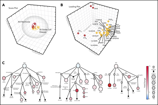 Figure 2. PCA of LMs, specialized proresolving mediator profiles, in healthy and sickle cell mice exposed to H/R stress. (A) Three-dimensional score plot of sickle cell mice under normoxia (red; n = 3) or exposed to 10 hours of hypoxia (8% oxygen) and followed by 18 hours of reoxygenation (yellow; n = 3) for murine spleen samples. Ellipses mark 95% confidence regions. (B) Three-dimensional loading plot. (C) Quantitative pathway network of sickle cell murine spleen samples. Node size represents the mean values (in picograms) of sickle cell normoxia spleen samples (n = 3). Node color denotes the fold changes in sickle cells exposed to hypoxia (10 hours 8%), followed by 18 hours of reoxygenation, vs sickle cell normoxia.