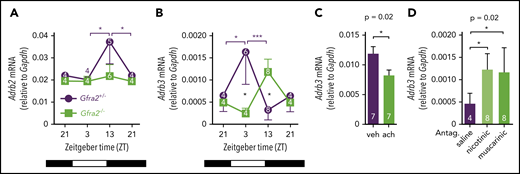 Figure 6. Local cholinergic signals regulate oscillatory expression of β3-AR in BM. Adrb2 (A) and Adrb3 (B) mRNA expression in the BM of Gfra2−/− and Gfra2+/− control mice at the specified ZT. ZT21 has been duplicated to facilitate viewing. (C) Adrb3 mRNA expression in MS-5 cell line cultures treated with vehicle (veh) or acetylcholine (ach; 10 µM) for 6 hours. (D) Adrb3 mRNA expression in the BM of WT mice treated with acetylcholine antagonists (i.p.) at ZT5 and analyzed at ZT13. All data are mean ± standard error of the mean; n (inside bars) and P values (multivariate analysis for >2 groups) are indicated. *P < .05, ***P < .001, multiple 2-tailed test (A-B), unpaired 2-tailed t test (C), 1-way analysis of variance with Bonferroni comparisons (D).
