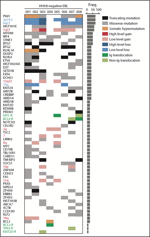 Figure 1. Distribution of genomic aberrations in HHV8-negative EBL. Each column represents an individual case (HHV8-negative EBL 001-008). Rows depict genomic aberrations, including mutations, CNAs, and translocations. The bar graph on the right shows the percentage of each aberration in the full cohort. Variant categories include missense mutations (gray), truncating mutations (black), low-level copy number gains (red), high-level copy number gains (dark red), low-level copy number losses (blue), high-level copy number losses (dark blue), translocations with immunoglobulin (Ig) partners (dark green), and translocations with non–immunoglobulin partners (light green). Freq., frequency.