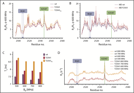 Figure 2. Structural dynamics within the VWF C4 domain. (A) Experimental R2/R1 values derived from 15N relaxation NMR experiments at 600 MHz. Wt (black) and Y2561 variant (red) show similar profiles, indicating very similar dynamics. At high concentrations (hc, yellow), R2/R1 values increase globally. (B) MD simulation of spin relaxation parameters predicts a very similar profile except for the exchange contribution of V2547. Error bars indicate standard deviation produced from 4 trajectory subchunks. (C) Rotational correlation time (τc) of wt and Y2561 variant at 4 different field strengths. The Y2561 variant shows elevated τc values, which further increase upon elevated concentration. (D) R2 values at 4 different fields for both wt and Y2561 variant are similar and show field dependence of Rex for residue V2547. B0, magnetic field strength.