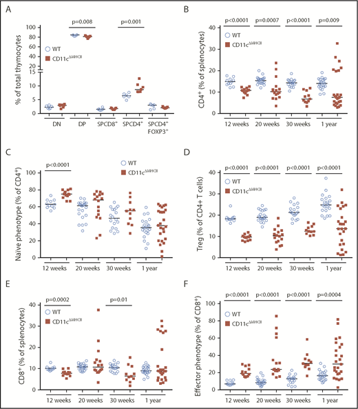 Figure 3. Alterations in the peripheral T cell compartment in CD11cΔMHCII mice. WT and CD11cΔMHCII mice were assessed by flow cytometry for the T cell compartment at 12 weeks (n = 11, 13), 20 weeks (n = 22, 16), 30 weeks (n = 18, 11), and 1 year (n = 22, 25) of age. (A) Percentages of T cell subsets in the thymus at 30 weeks (n = 6, 7). (B) Percentages of total CD4+ T cells among total splenocytes. (C) Percentages of naive CD4+ T cells (CD4+CD62L+CD44−) among CD4+ T splenocytes. (D) Percentages of Treg cells (CD4+Foxp3+) gated on splenic CD4+ T cells. (E) Percentages of CD8+ T cells among total splenocytes. (F) Percentages of effector CD8+ T cells (CD8+CD62L−CD44+) gated on splenic CD8+ T cells. Median and individual data points are shown.