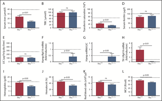Figure 3. TfrcAlb-Cre mice are predisposed to iron-deficiency anemia. Twelve-week-old male TfrcAlb-Cre mice and control Tfrcfl/fl littermates (n = 4-6 for each genotype) were placed on an IDD for 12 weeks. At the end point, the animals were euthanized. Blood was isolated by cardiac puncture and used for hematological analysis. Serum was prepared, and livers were dissected to analyze iron parameters. (A) Serum iron. (B) TIBC. (C) Transferrin saturation. (D) Serum ferritin. (E) LIC. (F) Liver Hamp mRNA. (G) Liver Hamp/LIC ratios. (H) Liver Tfr1 mRNA. (I) Hemoglobin. (J) Hematocrit. (K) Red blood cell count. (L) MCV. Data are mean ± standard error of the mean. Dashed lines indicate average values obtained from age-matched male C57BL/6 mice on an SD (n = 3). Statistical analysis was performed using the Student t test.
