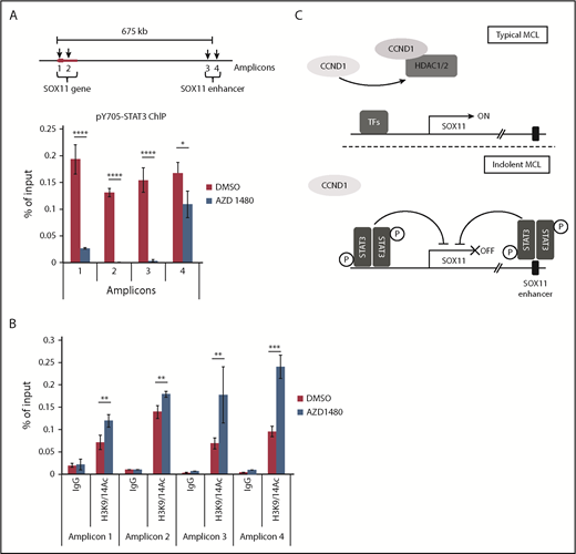 Figure 7. pY705 STAT3 is directly recruited to the SOX11 gene. (A) Diagram of the SOX11 gene and enhancer (not drawn to scale; top). Arrows indicate STAT3 binding sites. JEKO-1 cells were treated with 500 nM of AZD1480 or dimethyl sulfoxide (DMSO) for 16 hours, and chromatin immunoprecipitation assays were performed using the pY705 STAT3 antibody (bottom). (B) Chromatin immunoprecipitation assays using isotype immunoglobulin G (IgG) or H3K9/14Ac antibody for MAVER-1 cells treated with 500 nM of AZD1480 or DMSO for 16 hours. (A-B) Bar graphs show means of qPCR signals from 4 independent amplification experiments using primers to regions 1 to 4 (amplicons). Data are shown as percentage of total input chromatin DNA. Error bars, standard deviation. (C) Proposed model of SOX11 expression through distinct mechanisms mediated by CCND1 and STAT3 in typical or indolent form of MCL. *P < .05, **P < .01, ***P < .001, ****P < .0001 by 2-sided Student t test. TF, transcription factor.