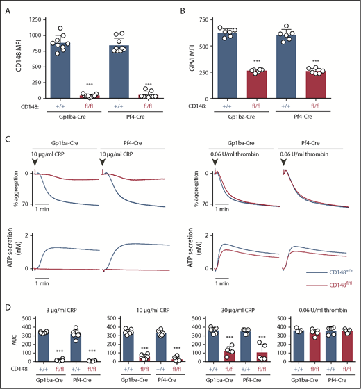 Figure 5. Efficient protein ablation and similar platelet phenotypes in CD148;Gp1ba-Cre mice. (A) Platelet surface receptor expression of CD148 was measured by flow cytometry of the indicated genotypes and shown as MFI, n = 9 mice per genotype. (B) Platelet surface receptor expression of GPVI was measured by flow cytometry and shown as MFI, n = 6 mice per genotype. (C) Mean platelet aggregation and secretion traces in response to the indicated agonists, n = 5 to 6 mice per condition per genotype. (D) Platelet aggregation in response to the indicated agonists shown as area under the curve (AUC). (A-B,D) Asterisks refer to significant difference in CD148fl/fl;Gp1ba-Cre+/KI or CD148fl/fl;Pf4-Cre+/KI mice compared with CD148+/+;Gp1ba-Cre+/KI or CD148+/+;Pf4-Cre+/KI mice, respectively (***P < .001; 1-way ANOVA with Sidak’s test); data represent mean ± SD.