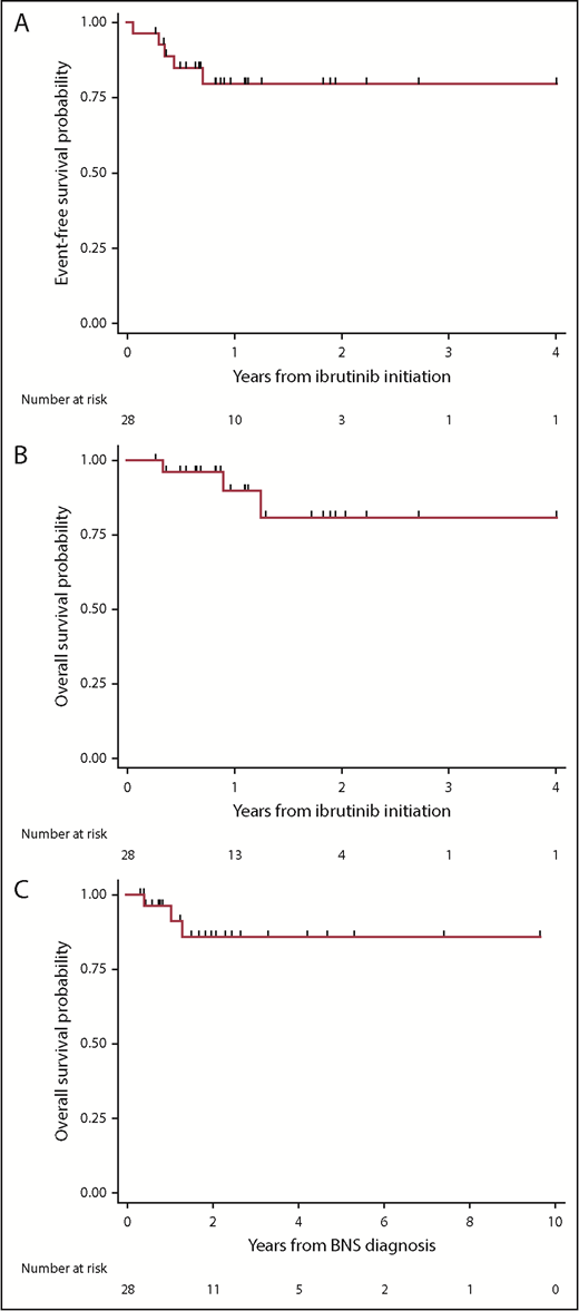 Figure 1. Kaplan-Meier estimates in 28 patients with BNS treated with ibrutinib. (A) EFS on ibrutinib, (B) survival from ibrutinib initiation, and (C) survival from BNS diagnosis.