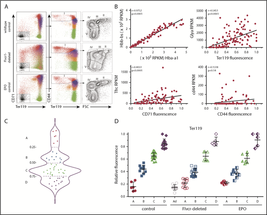 Figure 1. Early committed erythroid progenitors (BFU-E to basophilic erythroblasts) separate into 4 transcriptional groups correlating with Ter119 staining intensity. (A) Flow cytometry assessment of marrow cells from wild-type, Flvcr1-deleted, and EPO-treated mice. B220–Gr1–CD11b– marrow cells were divided into populations I-V as before.15,33 Single erythroid precursors from populations I and II were analyzed as described in the Materials and methods. In wild-type mice, the hemoglobin (HGB) equals 13.8 ± 0.7, and mean corpuscular volume (MCV) equals 44.8 ± 3.1; in Flvcr1-deleted mice, the HGB is 6.2 ± 1.3 and MCV is 72.2 ± 1.9, and in EPO-treated mice, the HGB is 15.9 ± 1.1 and MCV is 53.9 ± 0.9. The percentages of erythroid cells with given Ter119 intensities varied substantially; for example, Ter119neg cells comprised 0.93%, 4.39%, and 1.69% of cells from wild-type, Flvcr1-deleted, and EPO-treated mice, respectively. (B) Method validation. Transcription (RPKM) of α-globin (Hba-a1) closely correlated with β-globin (Hbb-bs) (r = 0.98), reflecting their coordinate regulation.34 The RNA-to-protein correlation of Glya to Ter119 (r = 0.56) was high, whereas Tfrc to CD71 (r = 0.41) was lower, as anticipated, as transferrin is a highly recycled protein.35 CD44 staining did not correlate with Cd44 expression (r = 0.15), indicating that Cd44 transcription decreases before or very early after erythroid commitment and protein levels and then decreases with successive cell divisions.33,36 (C) A plot of the Ter119 staining intensity of cells from wild-type mice identified 4 distinct cell groups, labeled A-D. This established the Ter119 staining intensity cutoffs that were then applied to cells isolated from Flvcr1-deleted and EPO-treated mice to identify developmentally equivalent cell groups in an unbiased manner. (D) Normalized Ter119 expression levels of individual cells from wild-type control, Flvcr1-deleted, and EPO-treated mice grouped A-D, using the cutoffs of panel C. Flvcr1-deleted cluster A cells are further separated into A (alive) and Ad (dying) subsets. Mean values ± SD are presented.