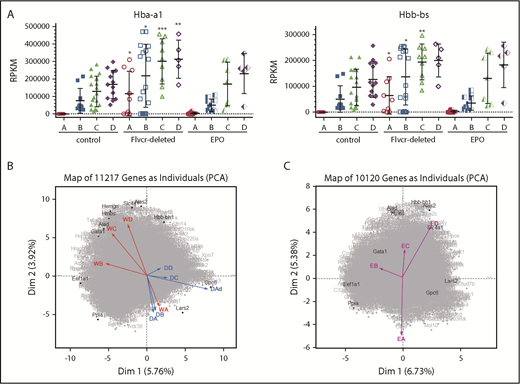 Figure 2. PCA reveals a distinct transcriptional program in cells from Flvcr1-deleted mice. (A) α-globin (Hba-a1, left) and β-globin (Hbb-bs, right) gene expression levels (RPKM) grouped by Ter119-based clusters (A-D) for each marrow sample. Cells from Flvcr1-deleted mice have significantly higher globin transcript levels than either control, showing that heme, but not EPO, increases globin transcription. Mean values ± SD are presented. Differences in gene expression levels between the cell clusters from wild-type control mice and Flvcr1-deleted or EPO-treated mice were identified by t test. *P ≤ .05; **P ≤ .01; ***P ≤ .001. (B) Two-component PCA of all gene expression with the mean gene expression trajectory of each cell cluster A-D shown as individual vectors for cell clusters from wild-type mice (indicated WA-WD) and Flvcr1-deleted mice (indicated DA-DD). Group A cells from both mice (WA and DA) are transcriptionally similar, as shown by their colocalization; however, their subsequent differentiation follows different trajectories. The erythroid cells from wild-type mice (WB to WD) progress clockwise, whereas cells from Flvcr1-deleted mice (DB to DD) progress counterclockwise. As anticipated, the dying cluster A cells (DAd) are transcriptionally distinct. Erythroid differentiation genes were generally distributed along the y-axis, whereas proliferation genes were generally distributed along the x-axis. Some genes with large projections are identified. (C) An independent 2-component PCA of cell clusters from EPO-treated mice (indicated EA-ED) shows that the erythroid differentiation of these clusters tracks comparably to clusters from wild-type mice (WA-WD). The same genes are highlighted as in panel B to facilitate comparison. Together, the analyses show that erythroid cells from wild-type and EPO-treated mice are transcriptionally similar throughout differentiation, whereas the transcriptional profile of erythroid cells from Flvcr1-deleted mice differs from both controls.